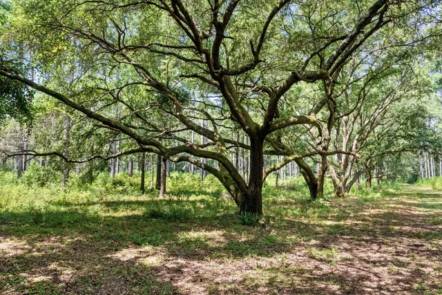 $3,900,000 | 730 State Rd S-27-175, Ridgeland, SC 29936