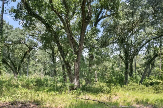 $3,900,000 | 730 State Rd S-27-175, Ridgeland, SC 29936