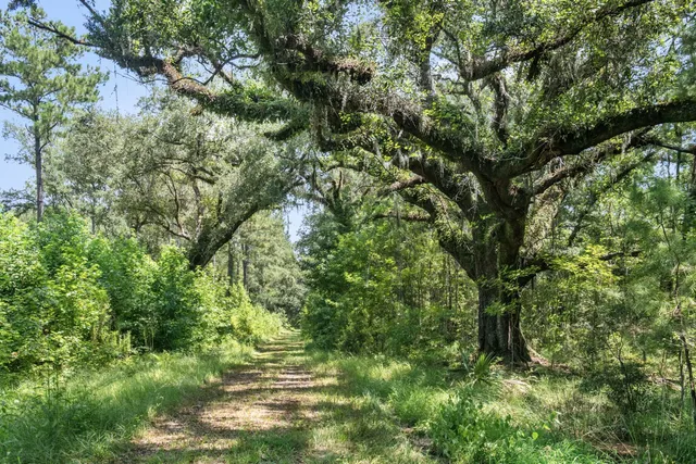 $3,900,000 | 730 State Rd S-27-175, Ridgeland, SC 29936