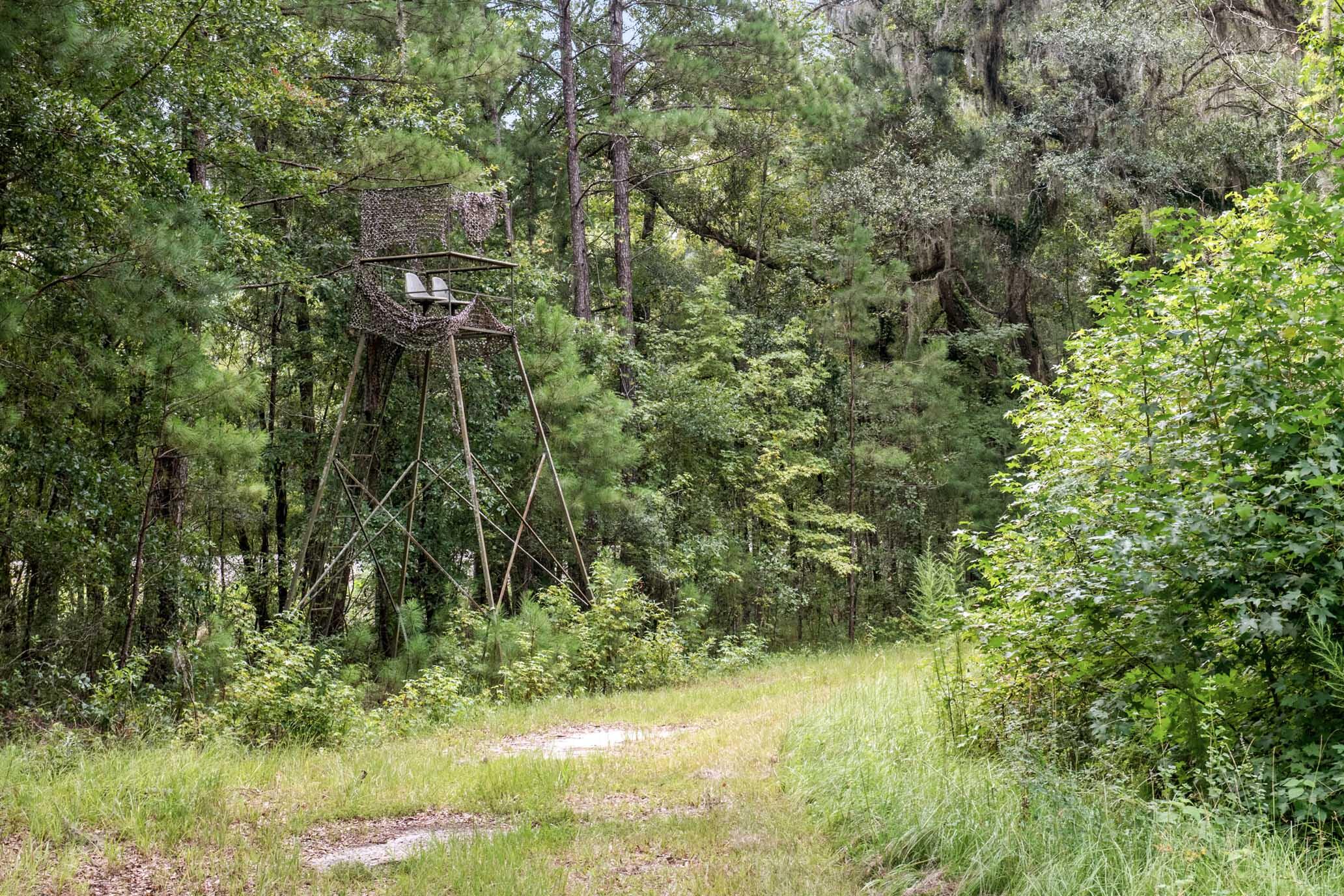 730 State Rd S-27-175 Ridgeland, SC 29936 - Photo 44 of 51 HFL_MAXFIELD PLANTATION-54