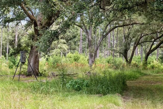 $3,900,000 | 730 State Rd S-27-175, Ridgeland, SC 29936