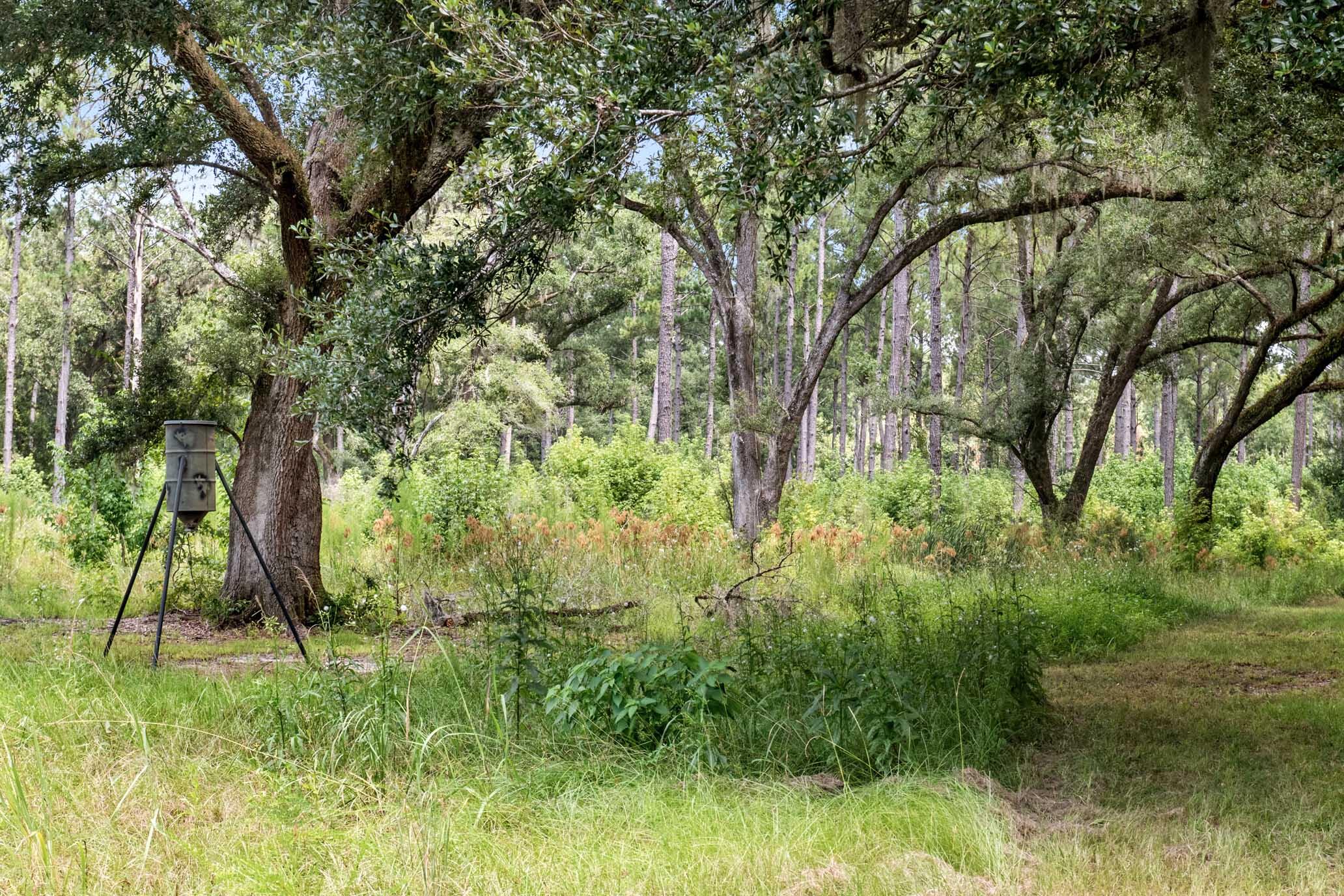 730 State Rd S-27-175 Ridgeland, SC 29936 - Photo 45 of 51 HFL_MAXFIELD PLANTATION-55