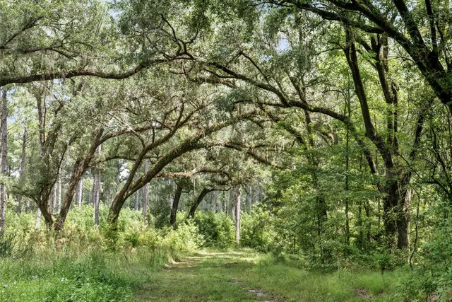 $3,900,000 | 730 State Rd S-27-175, Ridgeland, SC 29936