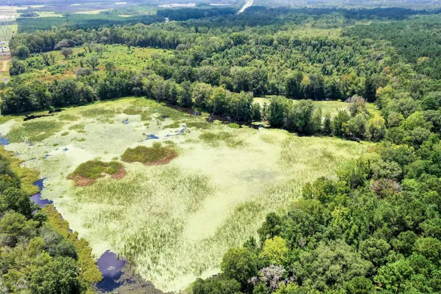 $3,900,000 | 730 State Rd S-27-175, Ridgeland, SC 29936