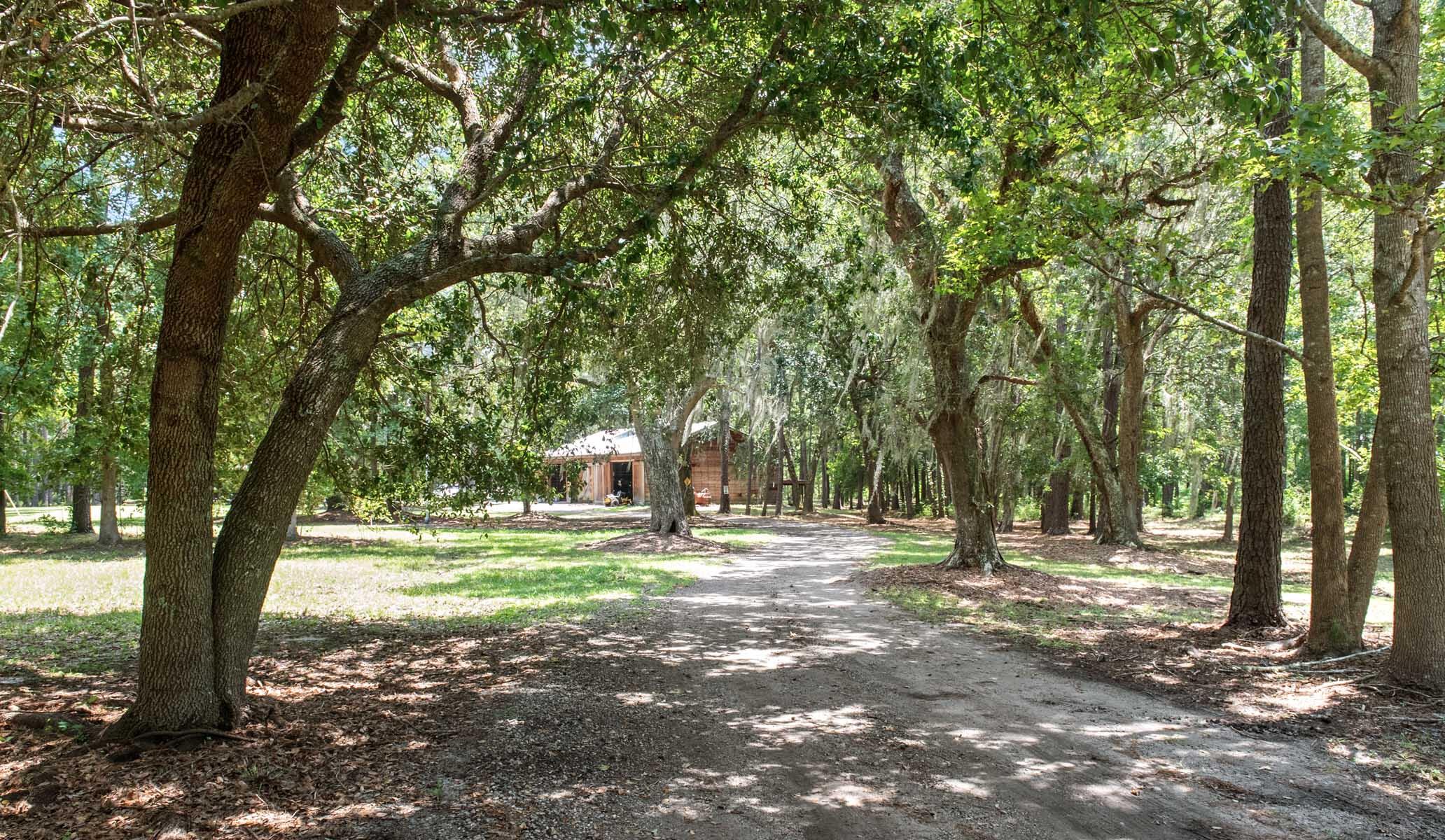 730 State Rd S-27-175 Ridgeland, SC 29936 - Photo 5 of 51 HFL_MAXFIELD PLANTATION-59