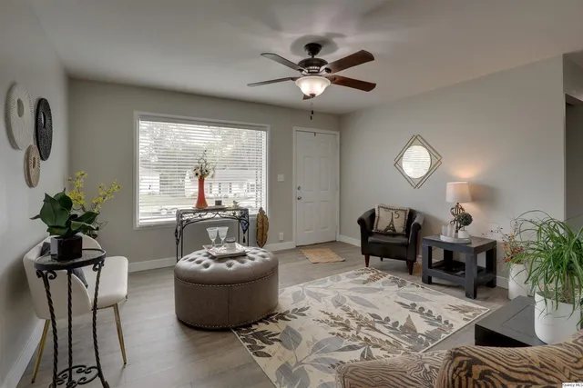 a living room with furniture and a potted plant