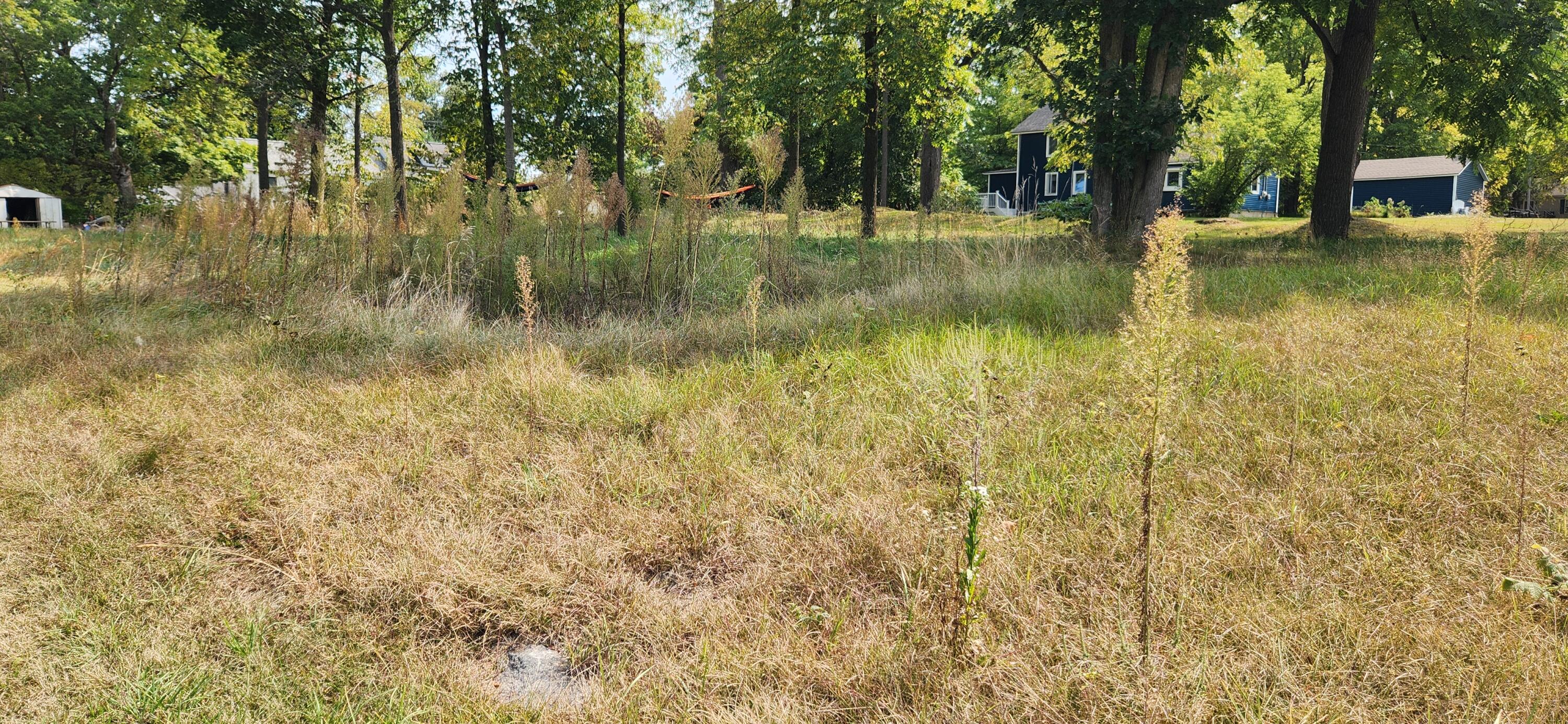 Vl North State Street Hesperia, MI 49421 - Photo 4 of 4 20240910_140114