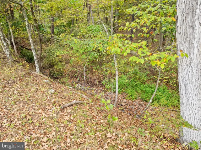$124,000 | Lot 24 Bloomery Pike, Cross Junction, VA 22625