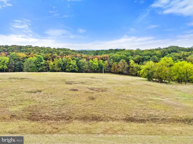 $124,000 | Lot 24 Bloomery Pike, Cross Junction, VA 22625