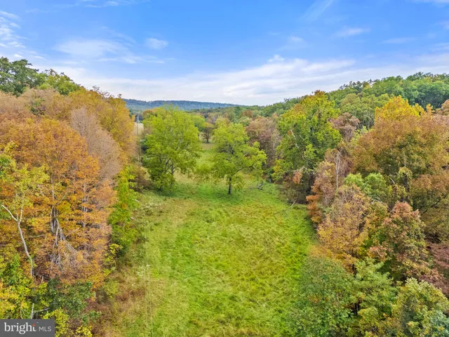 $124,000 | Lot 24 Bloomery Pike, Cross Junction, VA 22625