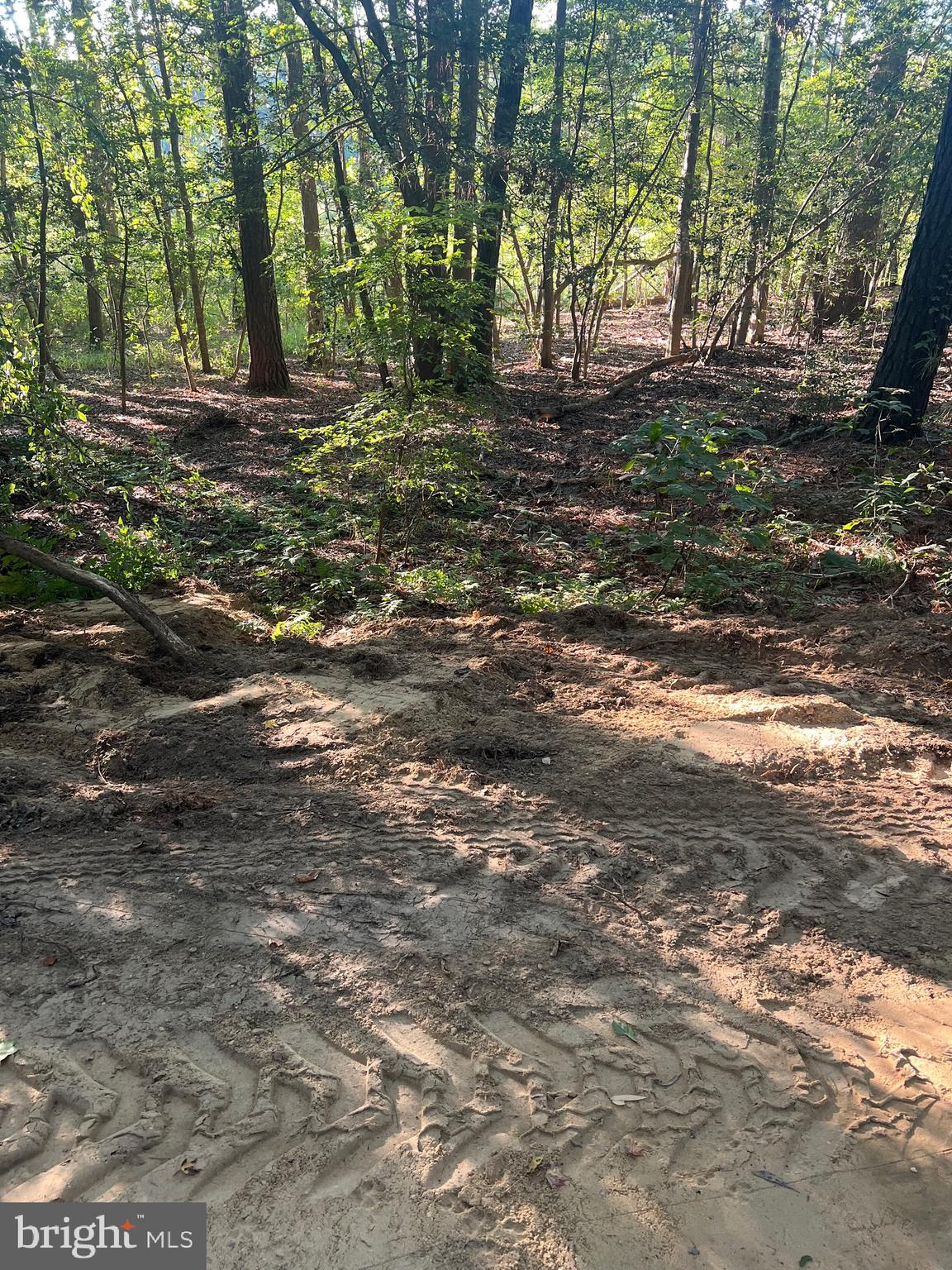 19921 Tower Hill Road Leonardtown, MD 20650 - Photo 2 of 13 a view of outdoor space with trees