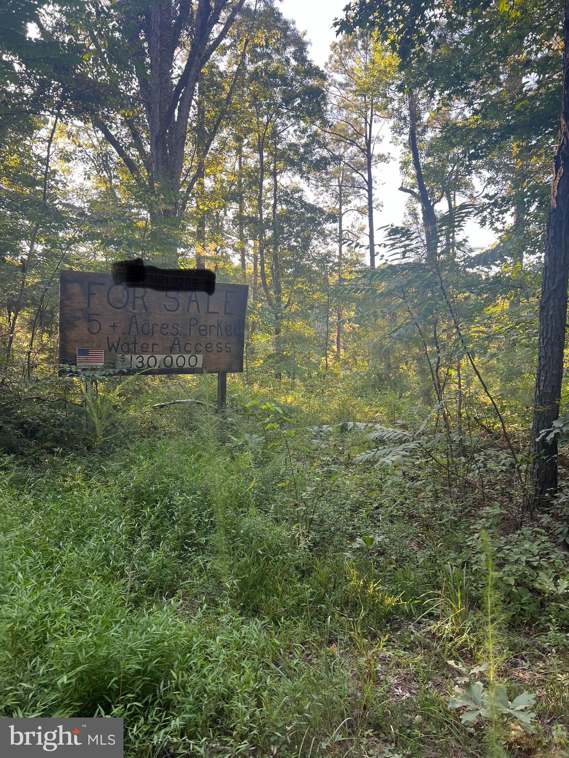 19921 Tower Hill Road Leonardtown, MD 20650 - Photo 6 of 13 a view of a garden with a tree