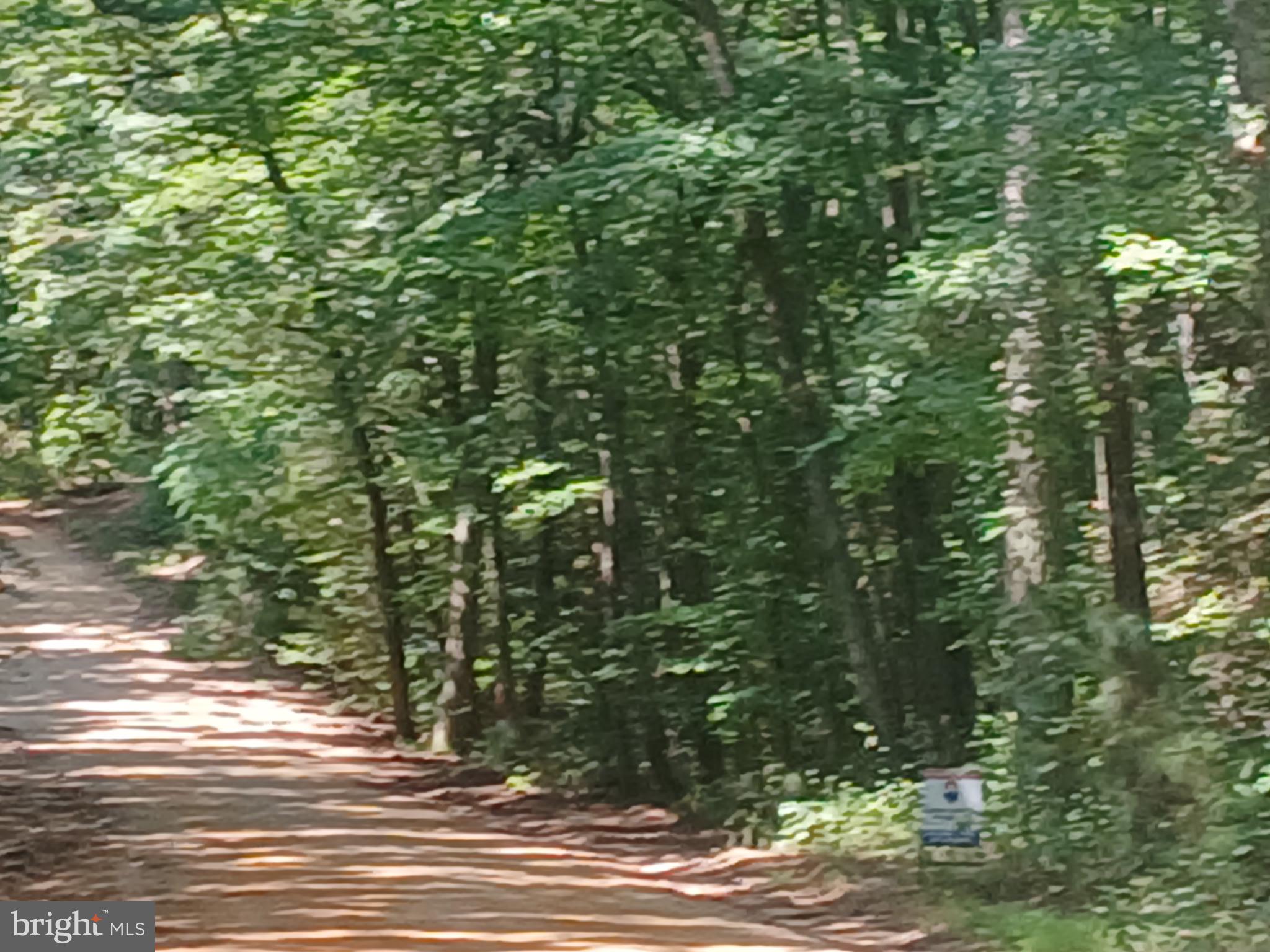 19921 Tower Hill Road Leonardtown, MD 20650 - Photo 10 of 13 a view of a yard from a tree