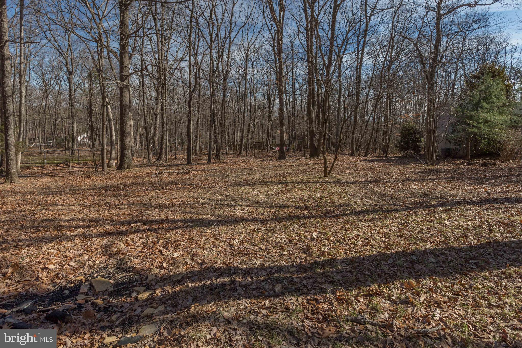 1605 Mercer Road Haymarket, VA 20169 - Photo 14 of 15 Gallery Image 14