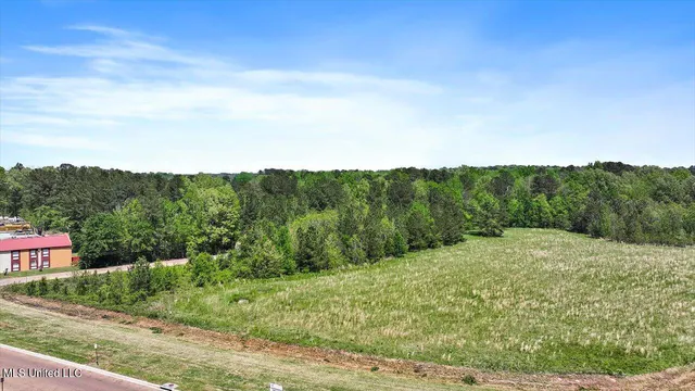 $240,000 | 0 Roland Drive, Richland, MS 39218