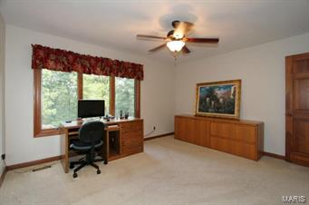 720 Rietzke Mountain Ballwin, MO 63021 - Photo 22 of 40 Gallery Image 22