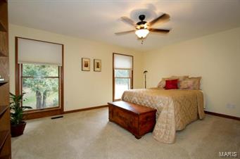 720 Rietzke Mountain Ballwin, MO 63021 - Photo 24 of 40 Gallery Image 24