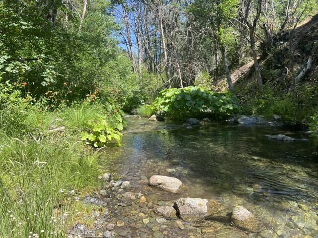 8980 Reading Creek Road Douglas City, CA 96024 - Photo 24 of 28