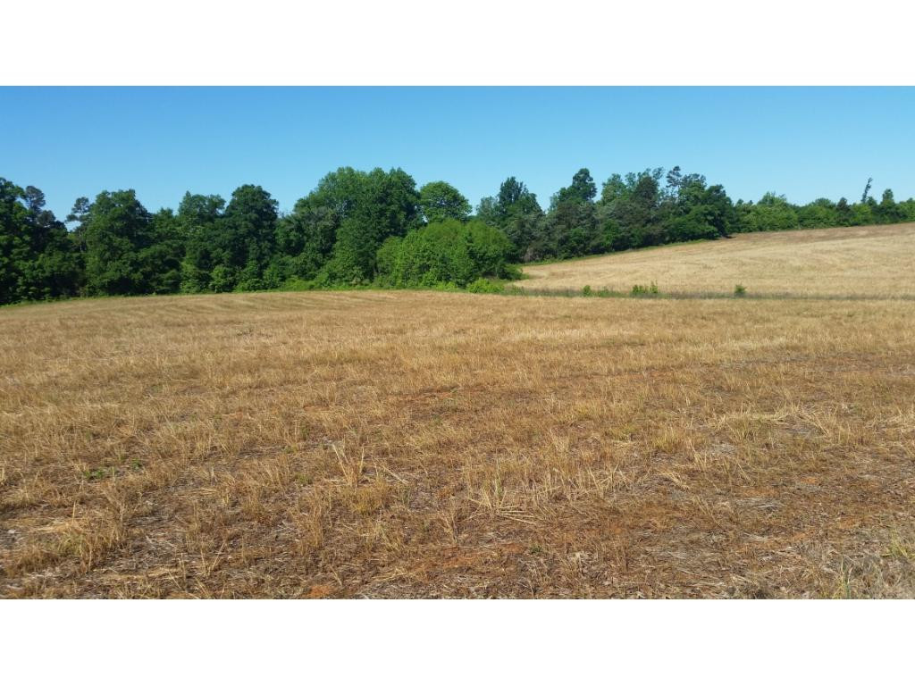 6450 Phillippi Road Julian, NC 27283 - Photo 1 of 1 Gallery Image 1