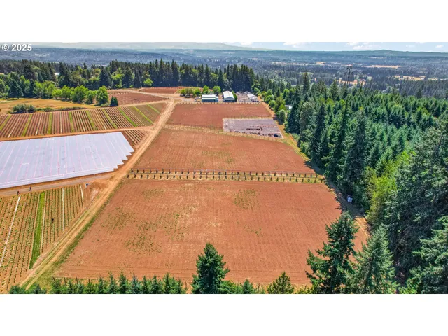 a picture of city view