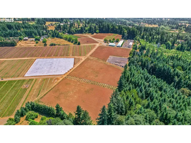 a picture of a house with a yard