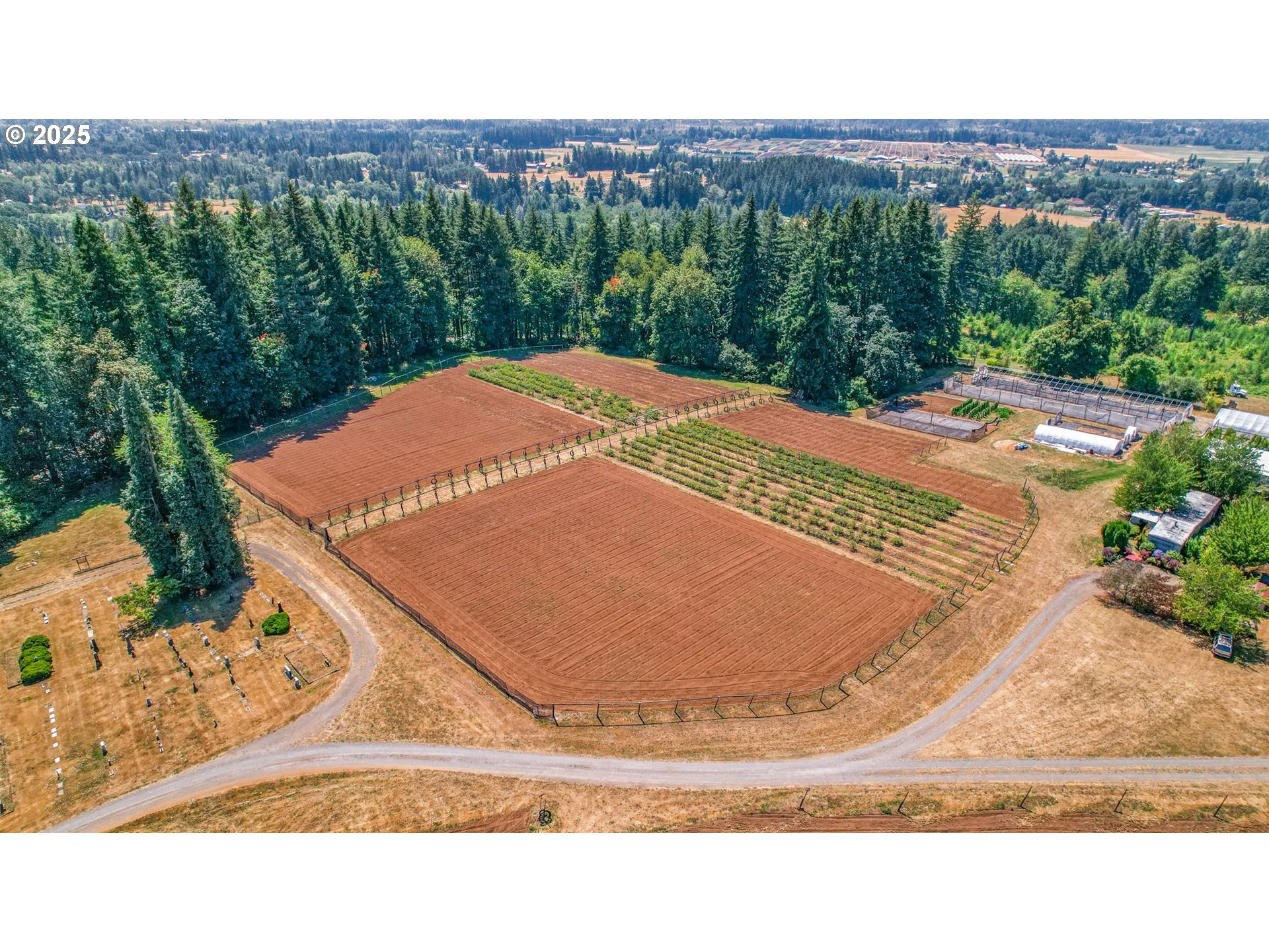 31909 Highway 211 Eagle Creek, OR 97022 - Photo 19 of 48 a view of a backyard