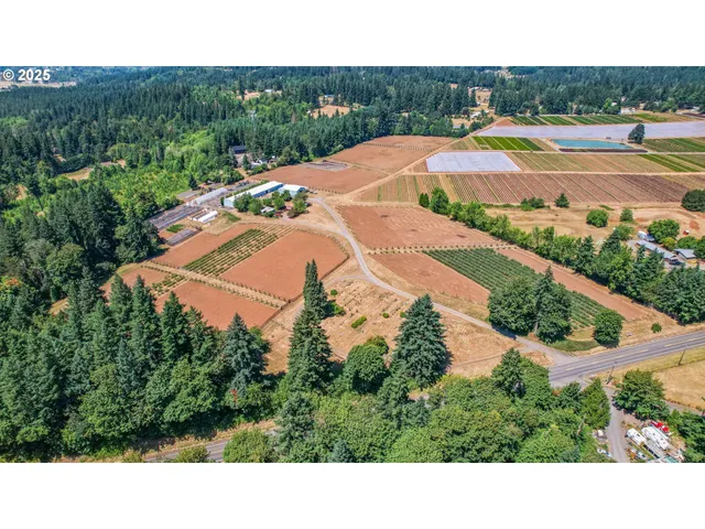 a view of an outdoor space and trees all around