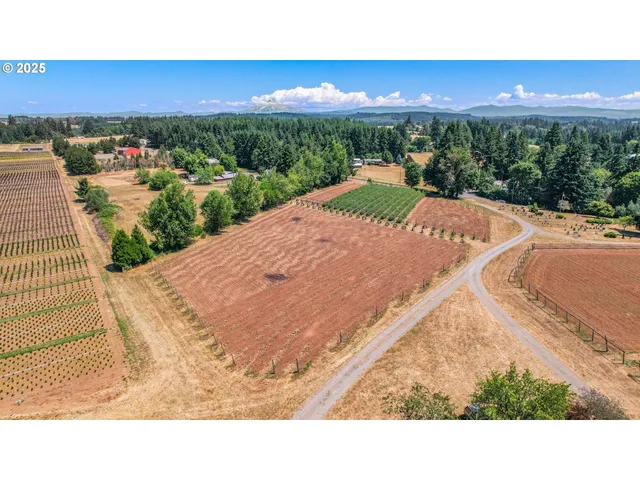 a park view with a outdoor space
