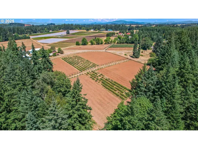 a view of a street with a yard