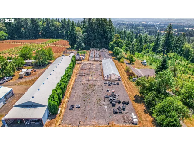 a black and white photo of a lake