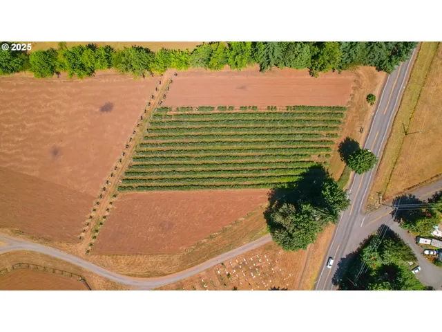 a open area with a bench