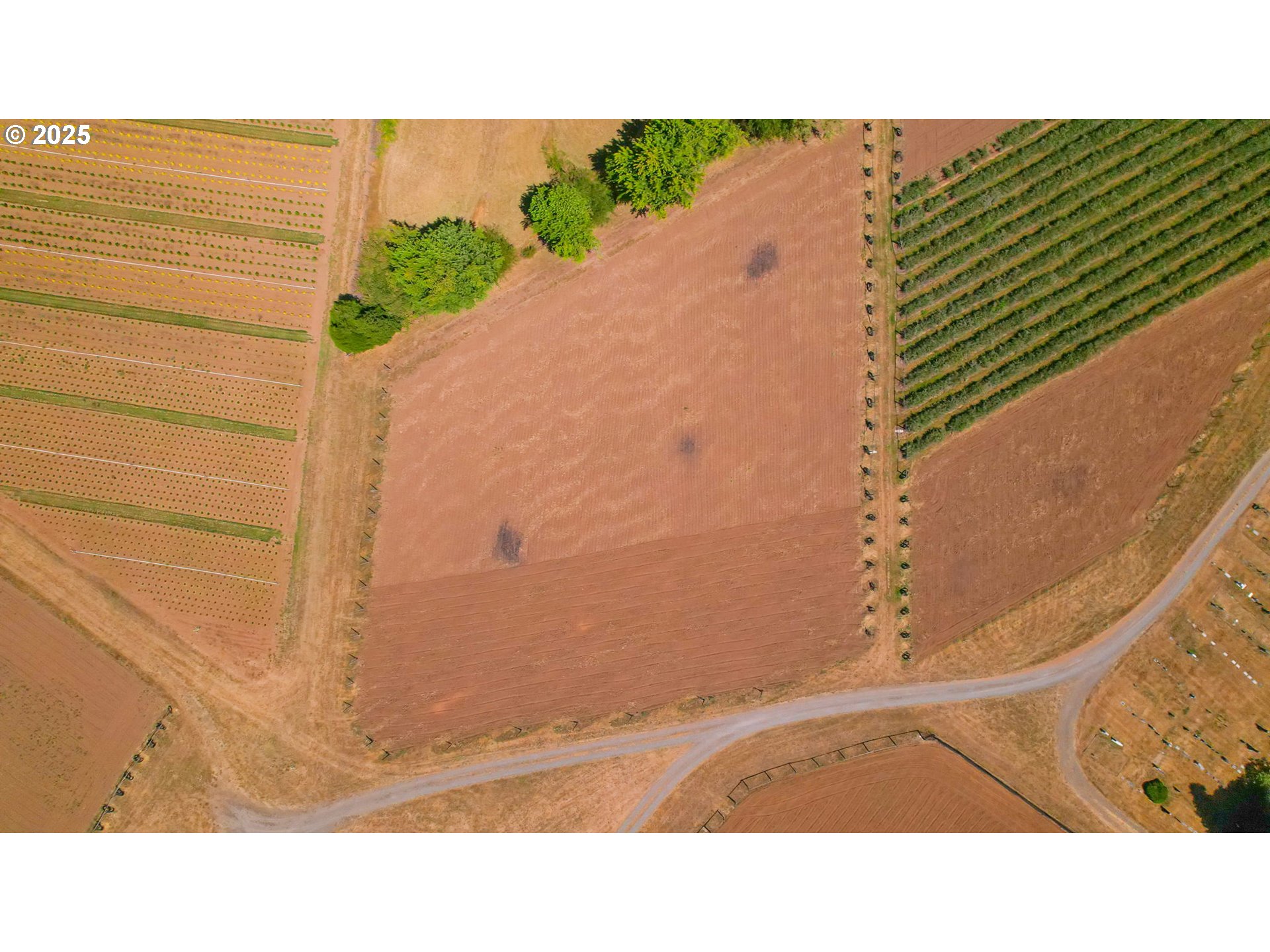 31909 Highway 211 Eagle Creek, OR 97022 - Photo 8 of 48 a open area with a bench