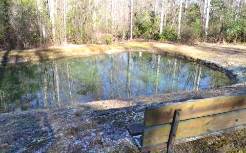 Lot 2 Natures Pride Blue Ridge Blue Ridge, GA 30513 - Photo 1 of 1 Main View