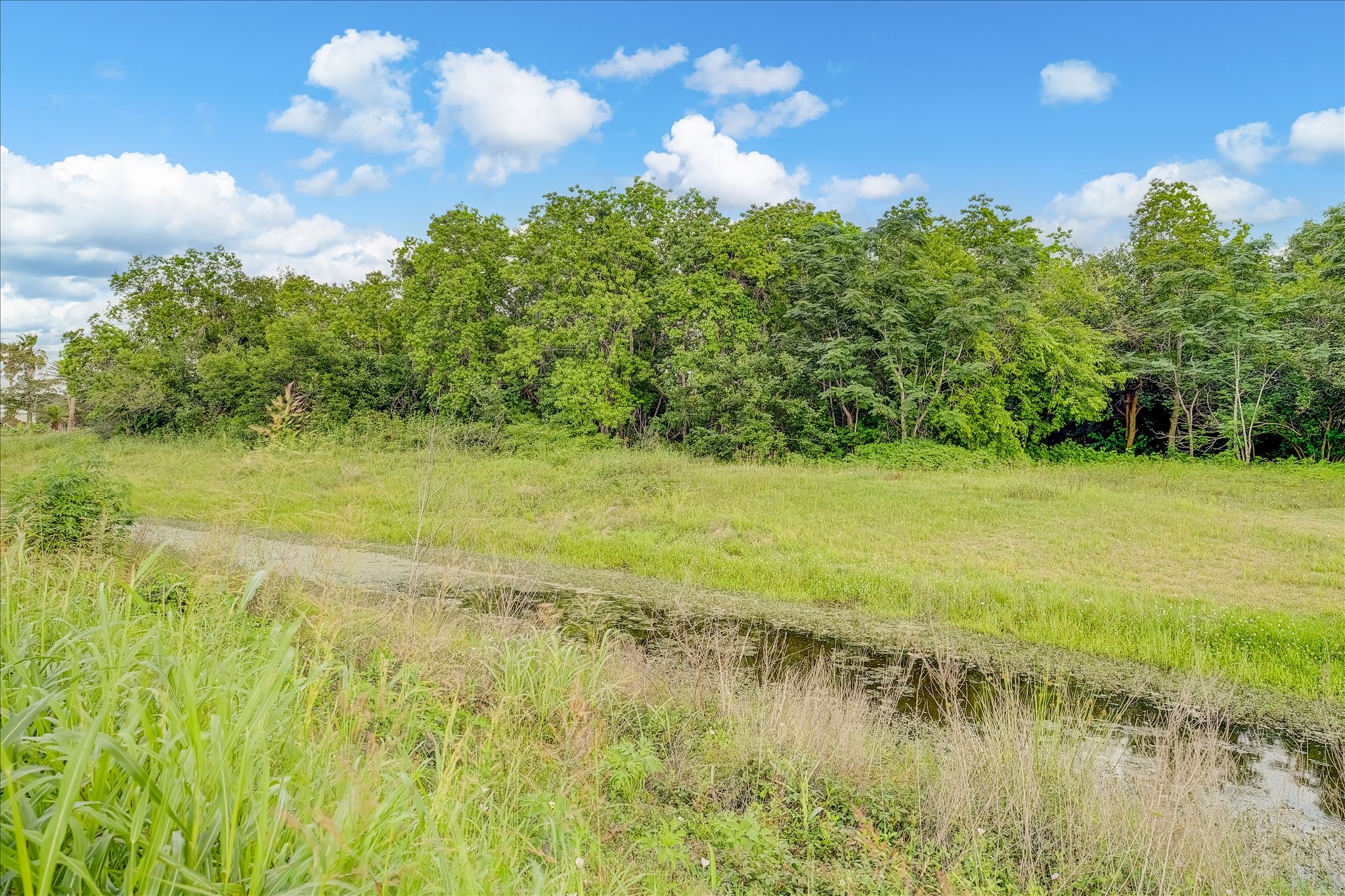 3205 Cemetery Road Santa Fe, TX 77517 - Photo 40 of 43 Creek that runs through the rear of the property, approx. .3 acres on the other side.
