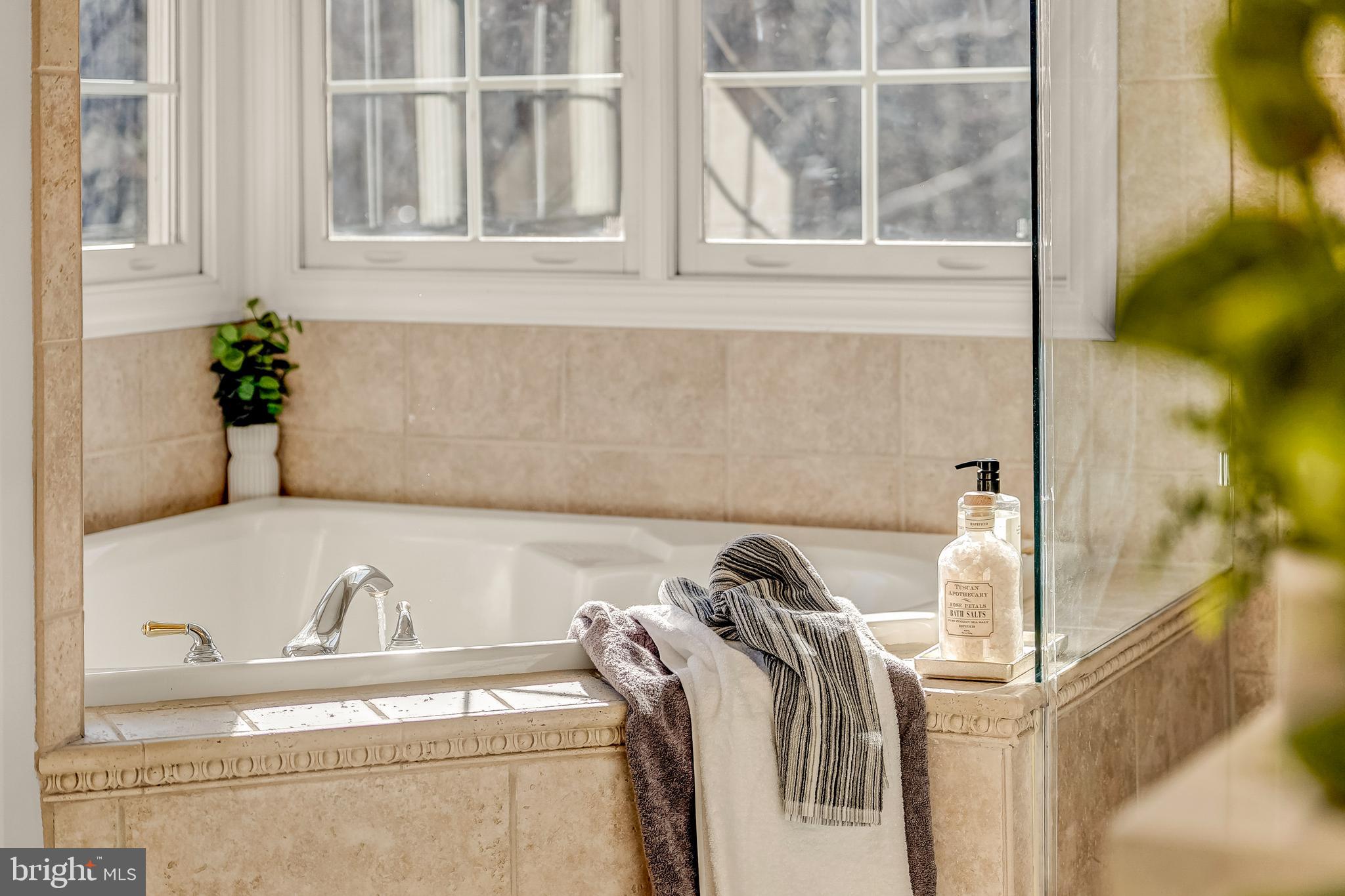 1609 Brookside Road McLean, VA 22101 - Photo 30 of 46 Soaking Tub
