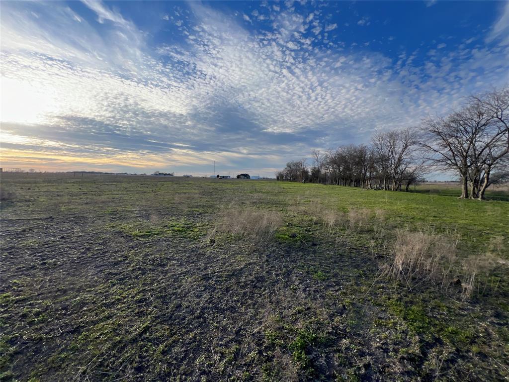 a view of a field with an trees