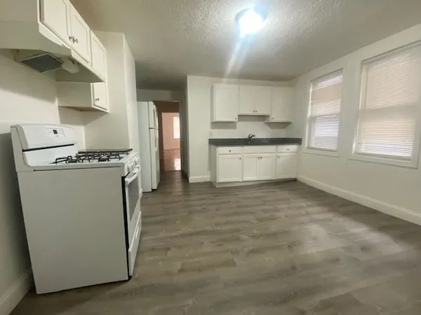 a kitchen with a stove a sink and a refrigerator