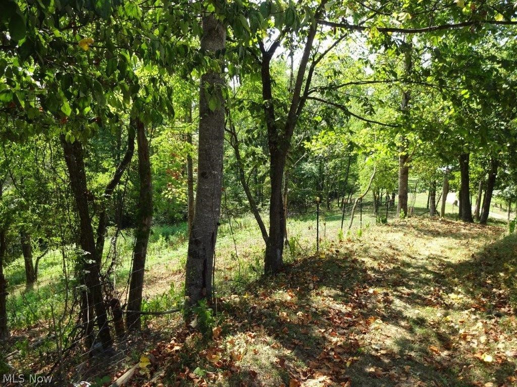 1701 Long Ridge Road Elkview, WV 25071 - Photo 7 of 50
