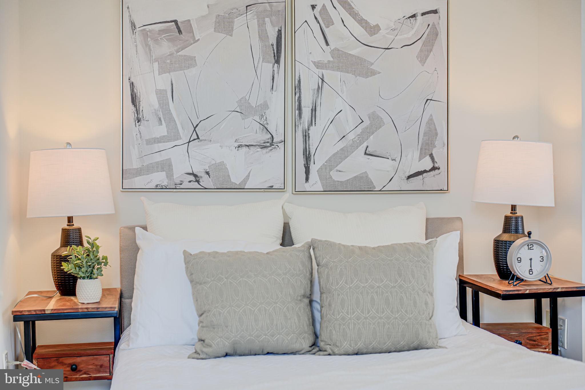 106 3rd Street Northeast Washington, DC 20002 - Photo 35 of 63 a living room with a couch and a potted plant