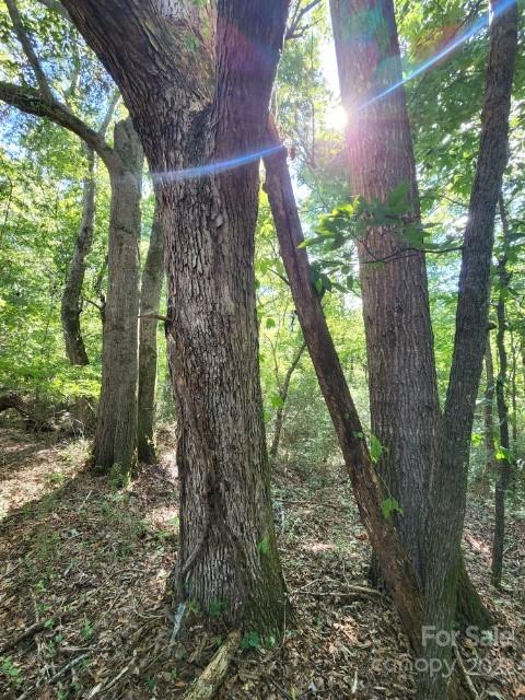 1405 Biggers Cemetery Road Monroe, NC 28110 - Photo 25 of 29 a view of a yard