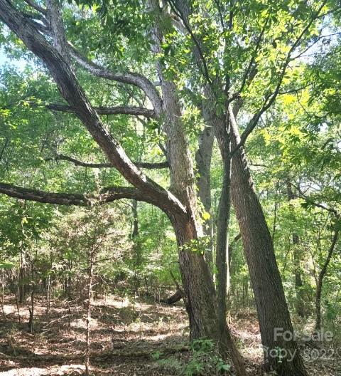 1405 Biggers Cemetery Road Monroe, NC 28110 - Photo 26 of 29 a view of forest