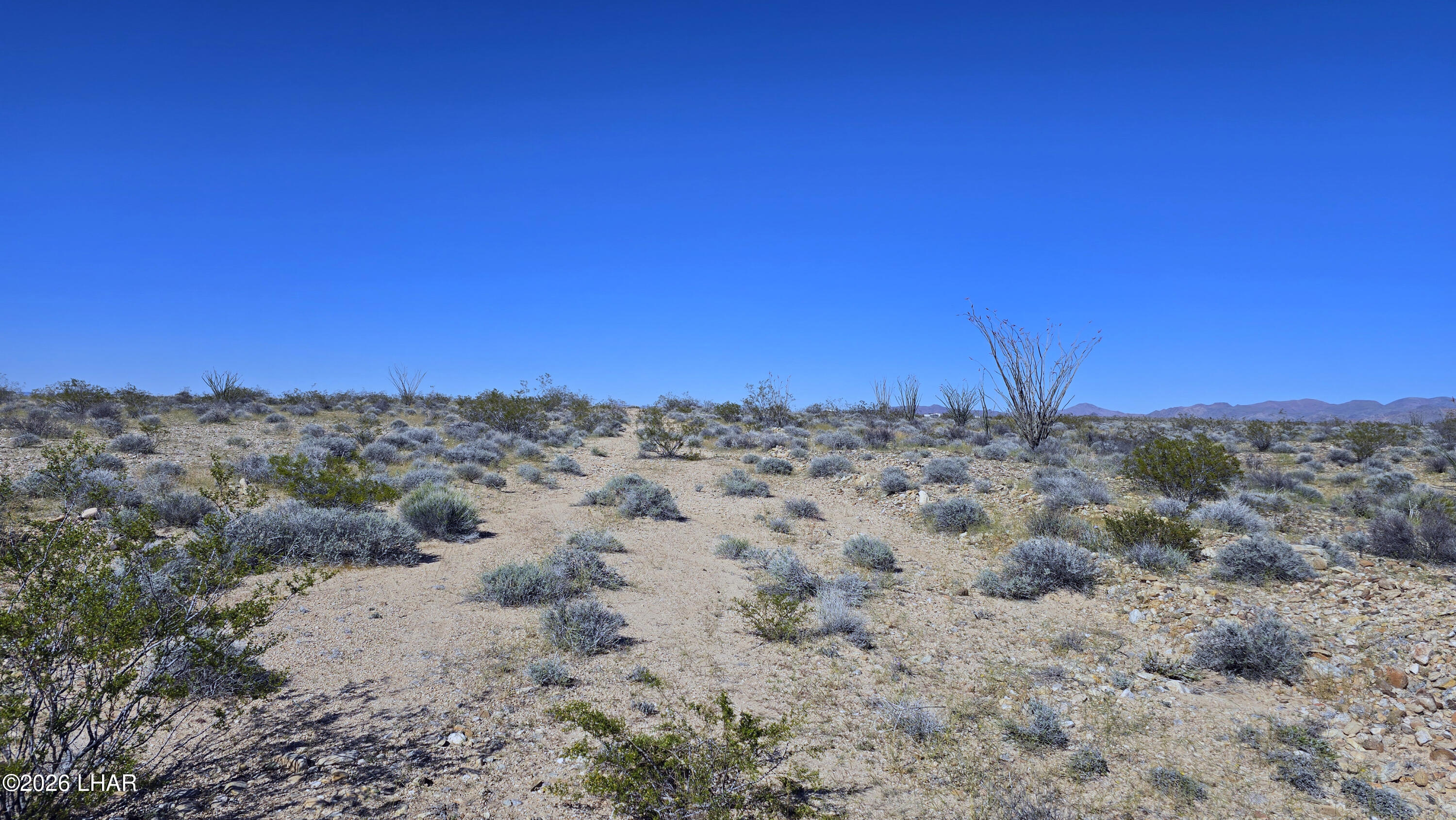 Lot 11-12 South Akchin Road Yucca, AZ 86438 - Photo 11 of 17 20260308_145827