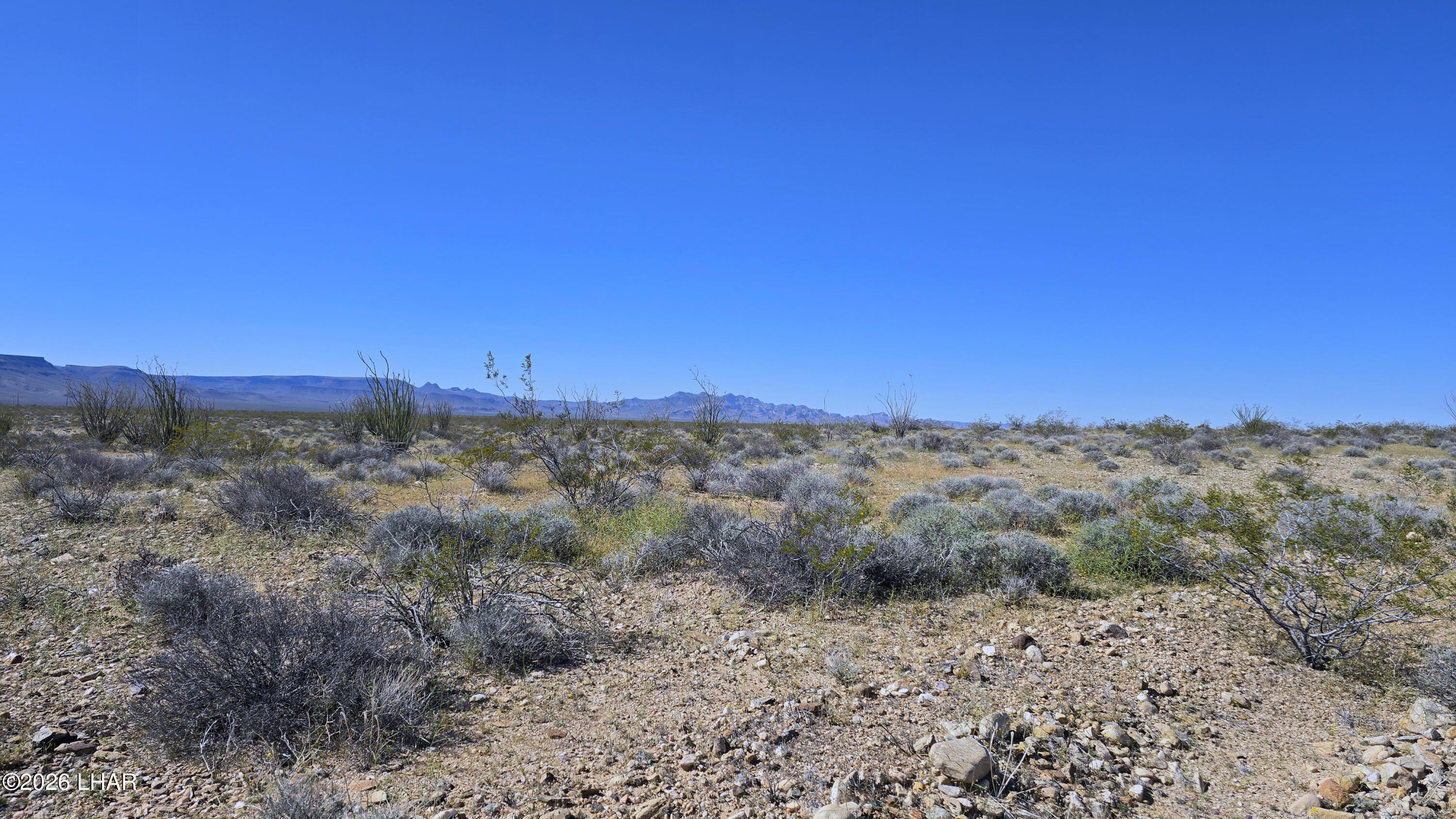 Lot 11-12 South Akchin Road Yucca, AZ 86438 - Photo 15 of 17 20260308_145911