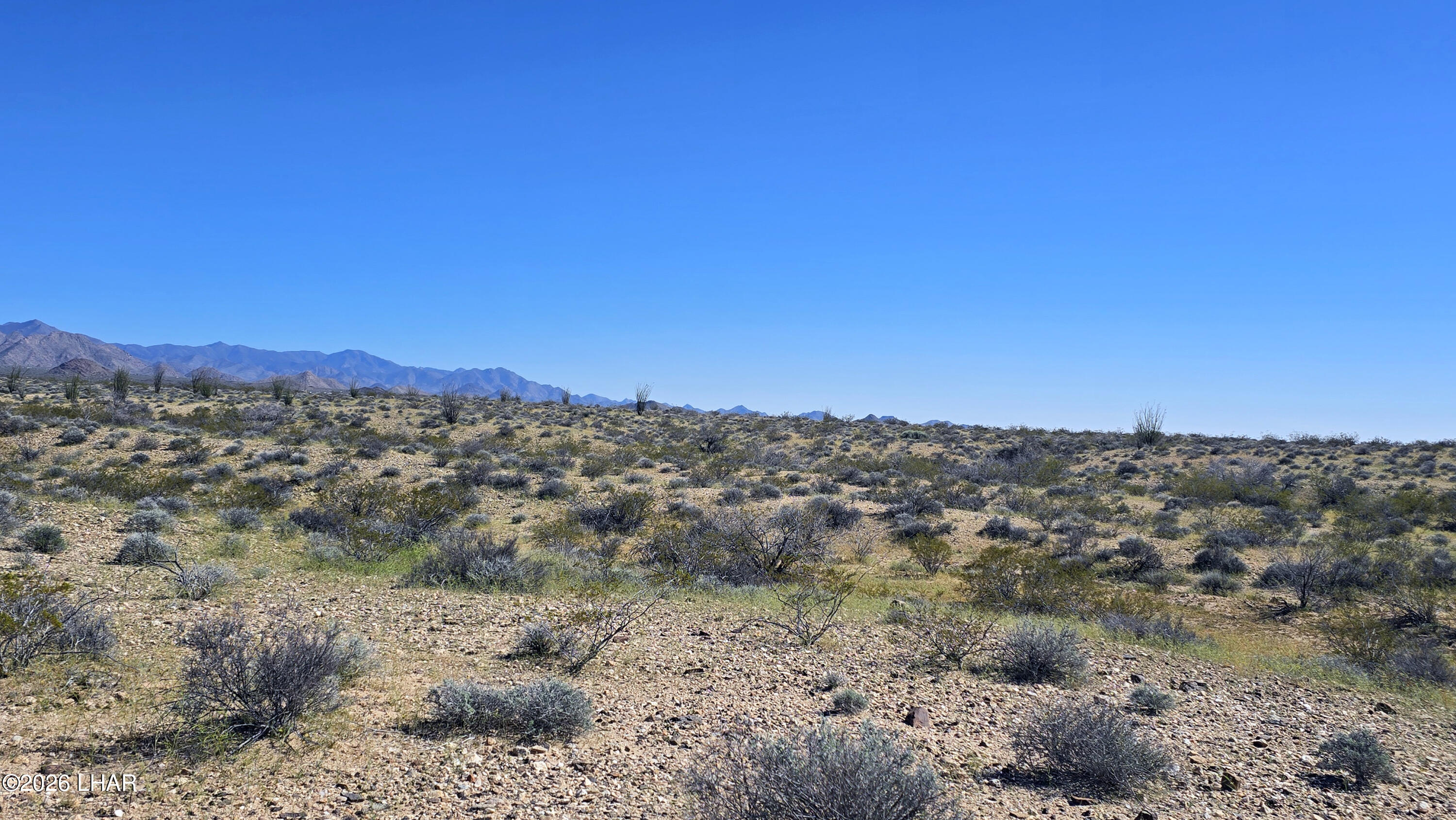 Lot 11-12 South Akchin Road Yucca, AZ 86438 - Photo 3 of 17 20260308_143626