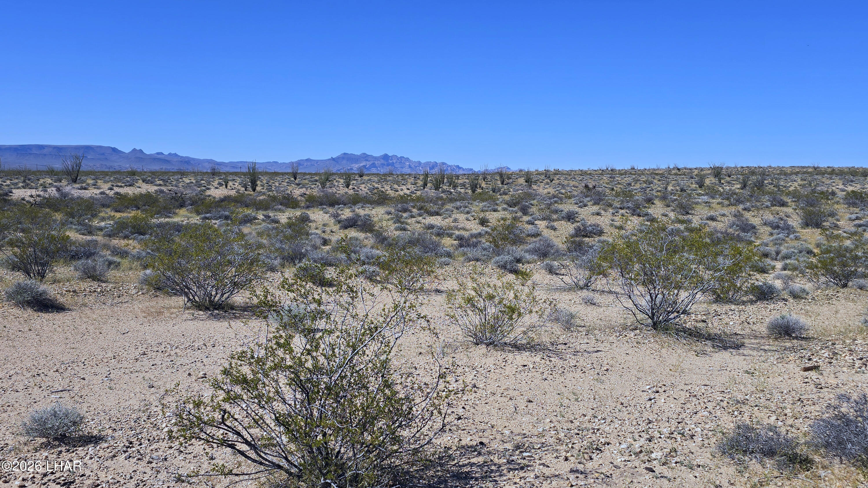 Lot 11-12 South Akchin Road Yucca, AZ 86438 - Photo 6 of 17 20260308_143638