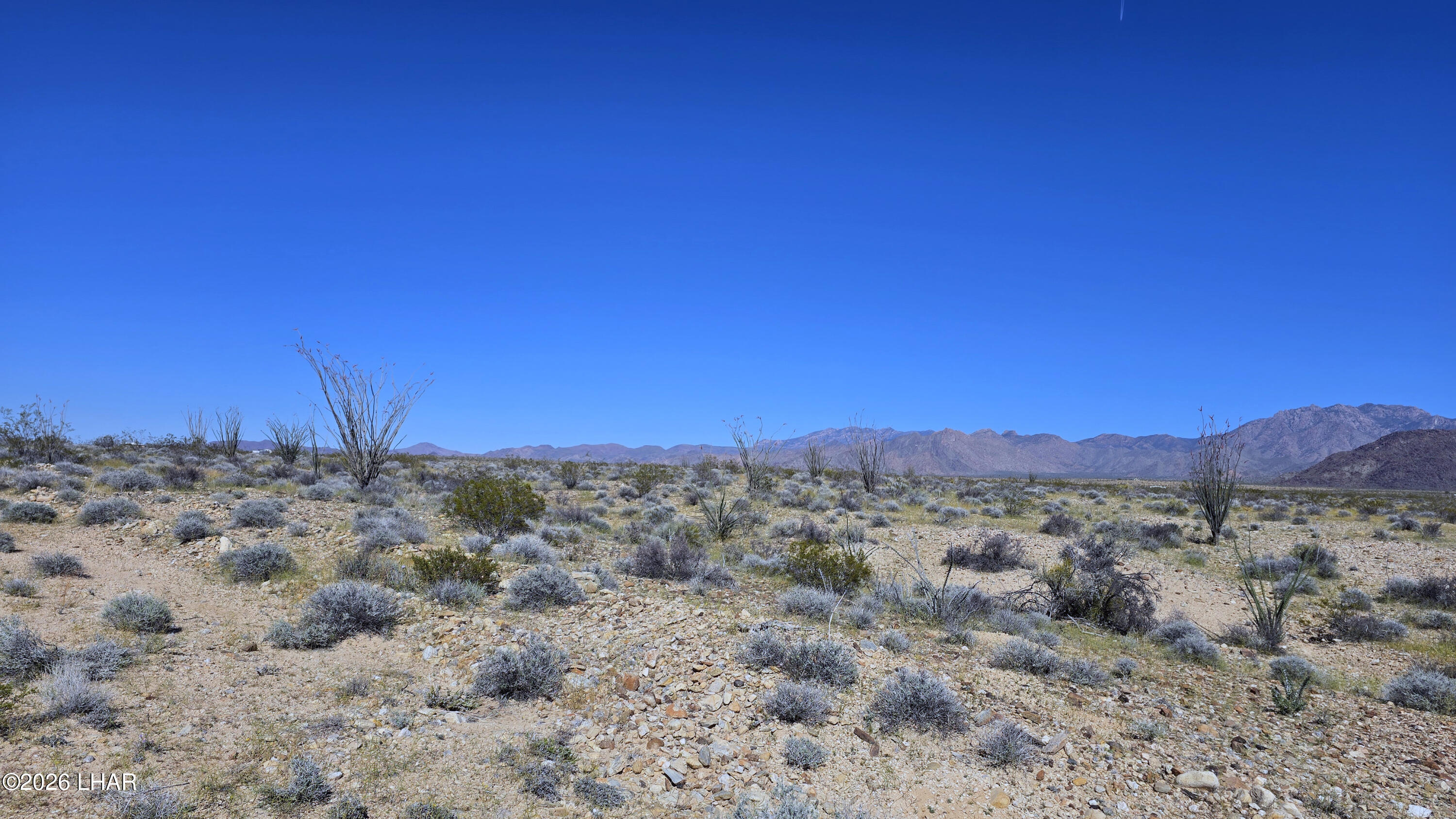 Lot 11-12 South Akchin Road Yucca, AZ 86438 - Photo 10 of 17 20260308_145825