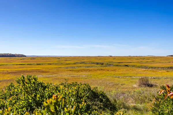 $1,495,000 | 655 Herring Brook Road, Eastham, MA 02642