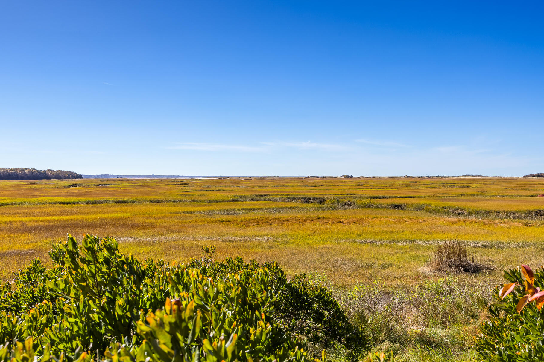 655 Herring Brook Road Eastham, MA 02642 - Photo 12 of 63 Marsh view