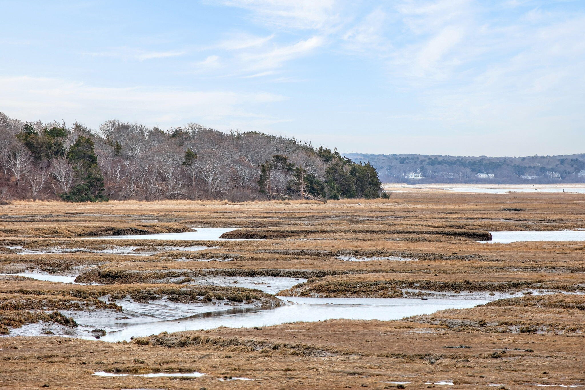 655 Herring Brook Road Eastham, MA 02642 - Photo 37 of 63 Marshfront