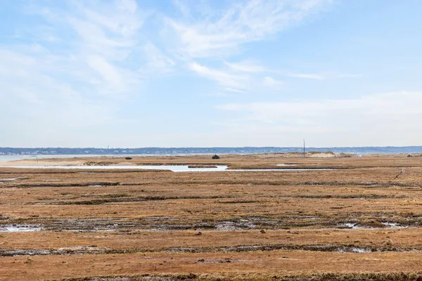 $1,495,000 | 655 Herring Brook Road, Eastham, MA 02642